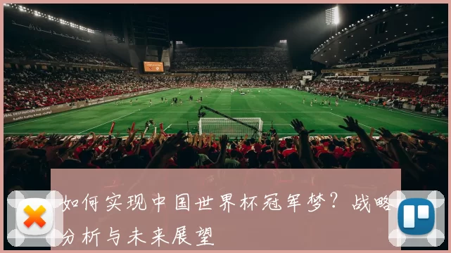 如何实现中国世界杯冠军梦？战略分析与未来展望