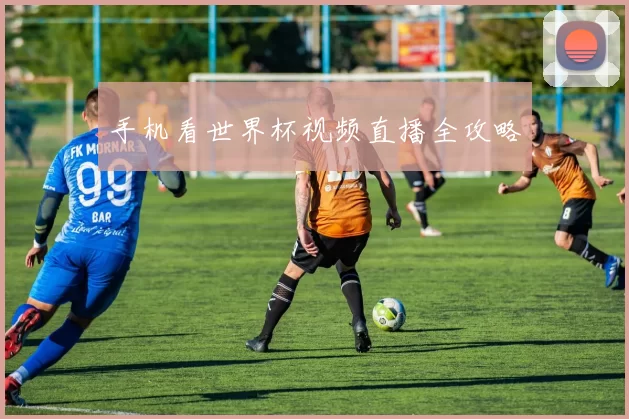手机看世界杯视频直播全攻略