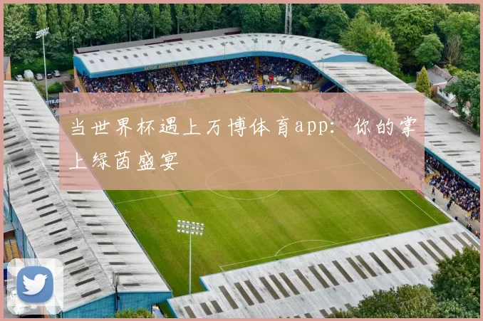 当世界杯遇上万博体育app：你的掌上绿茵盛宴