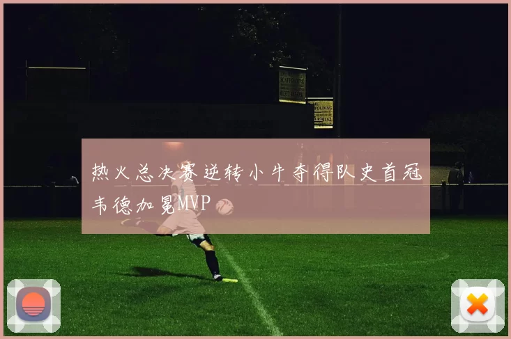 热火总决赛逆转小牛夺得队史首冠韦德加冕MVP