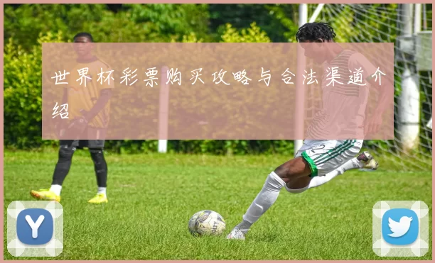 世界杯彩票购买攻略与合法渠道介绍