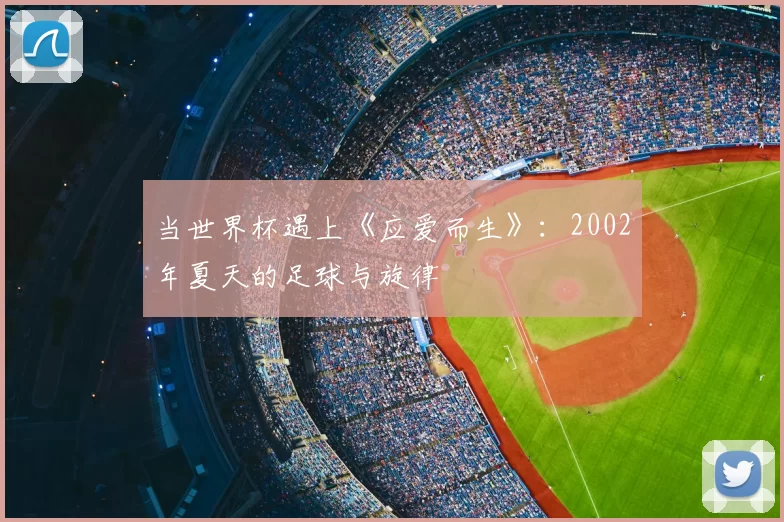 当世界杯遇上《应爱而生》：2002年夏天的足球与旋律