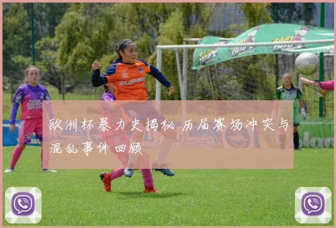 欧洲杯暴力史揭秘 历届赛场冲突与混乱事件回顾